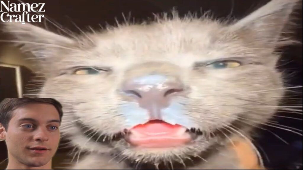 Goofy Ahh Name For Cats