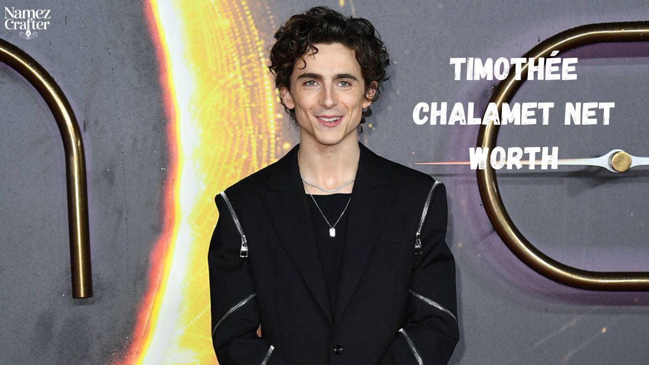 Timothée Chalamet Net Worth